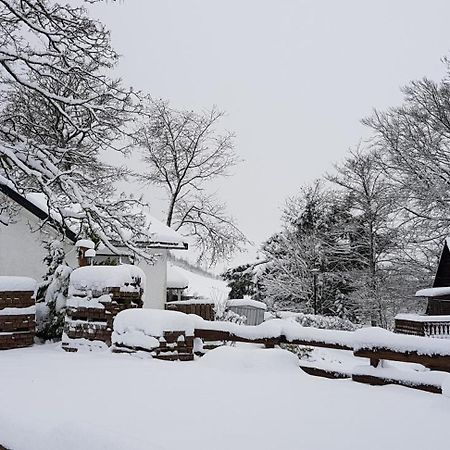 Villa Winterberg Mollseifen Dış mekan fotoğraf