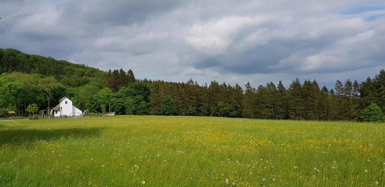 Villa Winterberg Mollseifen Dış mekan fotoğraf