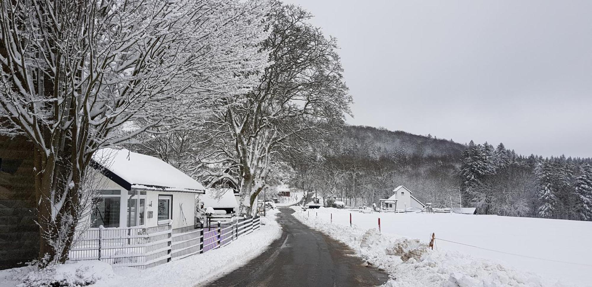 Villa Winterberg Mollseifen Dış mekan fotoğraf